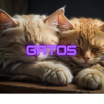 ¿Los Gatos tienen sueños?